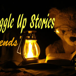 Snuggle Up Stories, Friends with Bertie Bear