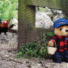 Helping Paws with Bertie Bear - Image 3